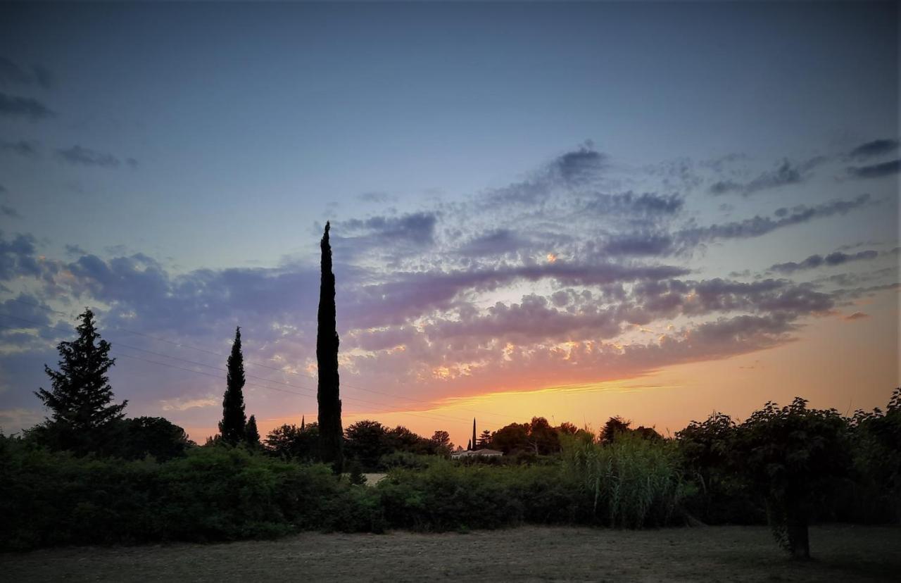 La Maison Du Chemin Des Prairies Morieres-les-Avignon 외부 사진
